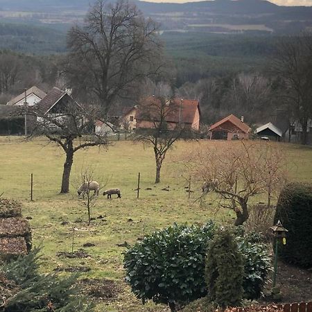 Pension S Laskou Karel Bezdez Buitenkant foto